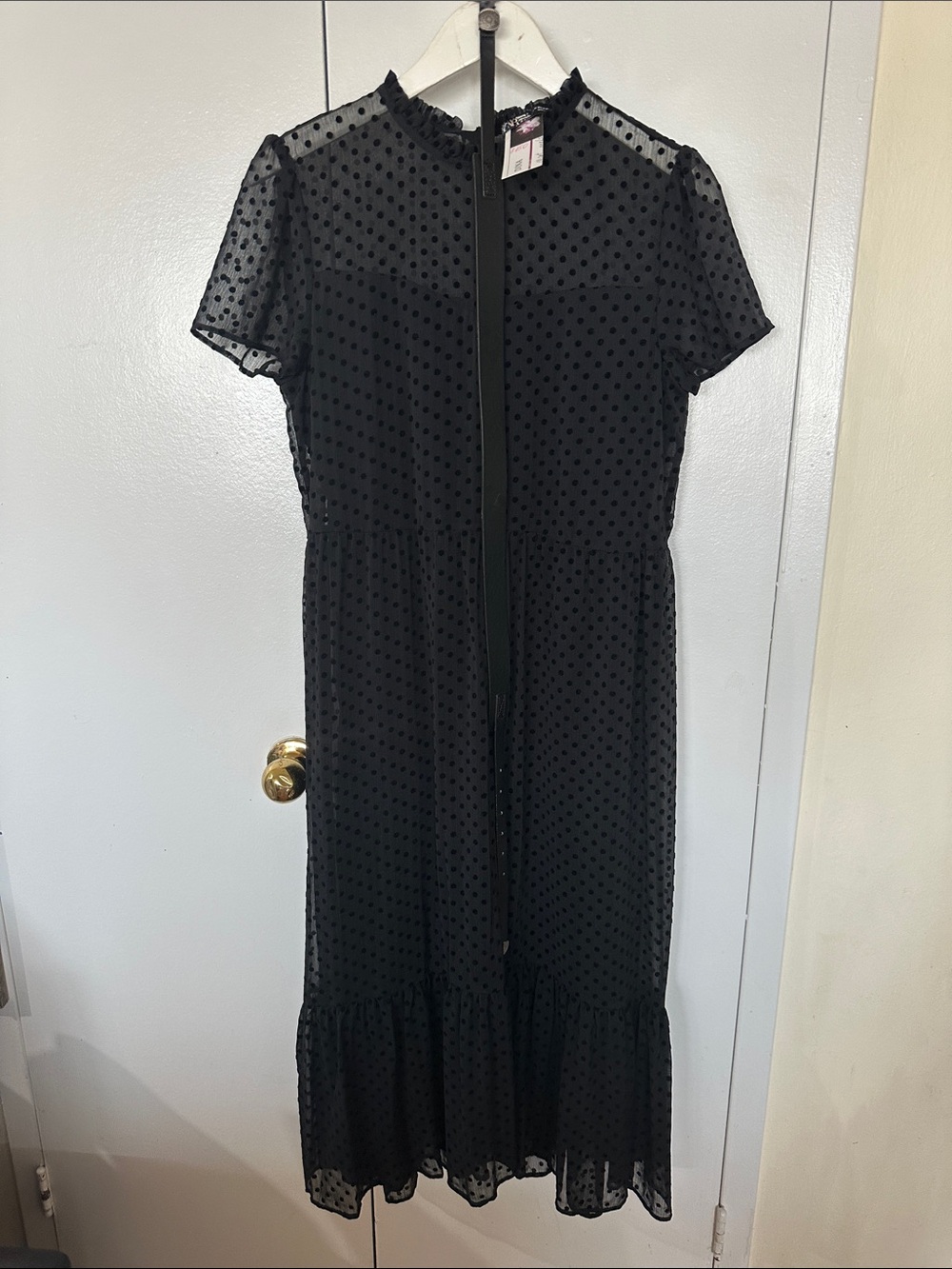 Zara Black Sheer Swiss Dot Midi Dress